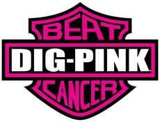 dig pink, breast cancer, volleyball